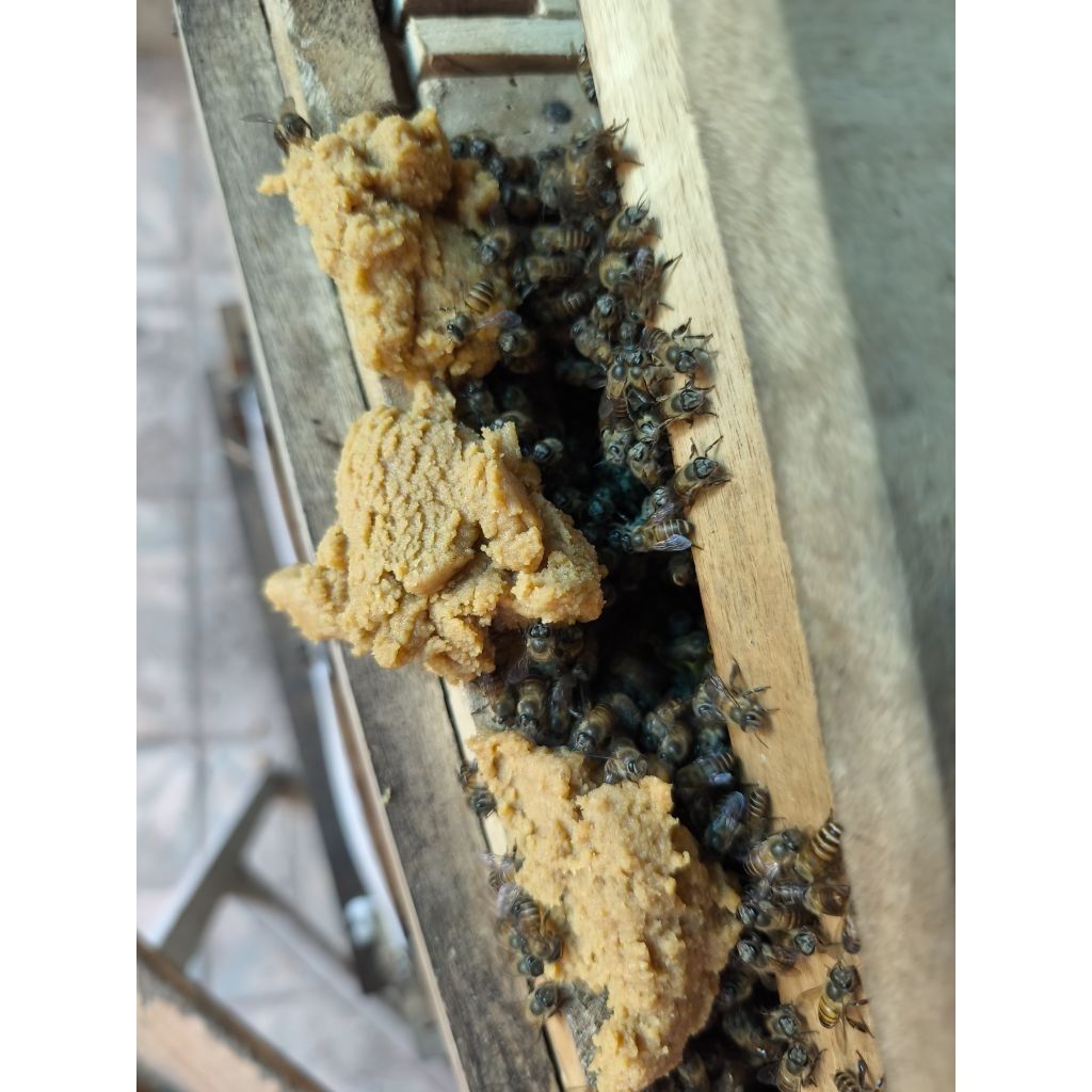Cầu bo phấn kèm vách ngăn ong nội - Ảnh 2