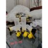 [Nhi VTO] Combo 5 lồng nhựa tròn nhốt chúa tơ 4 phụ kiện