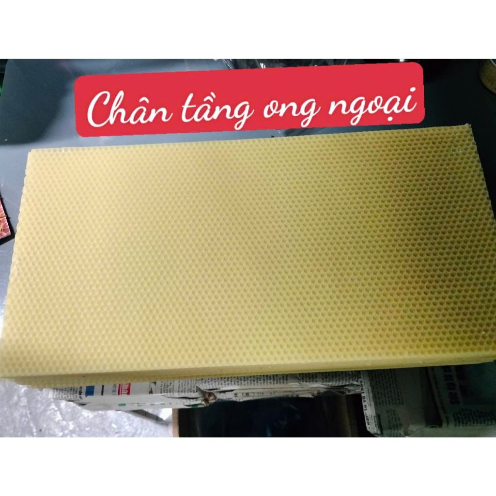 20 Tấm chân tầng ong ngoại cầu 48