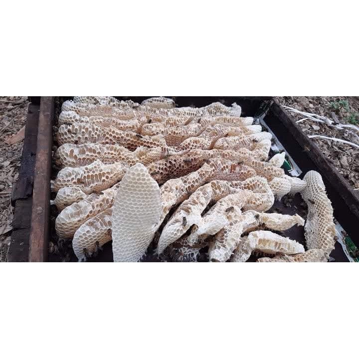 Bột Dưỡng Ong Nutrition (kích ong chúa đẻ nhiều) - Ảnh 8
