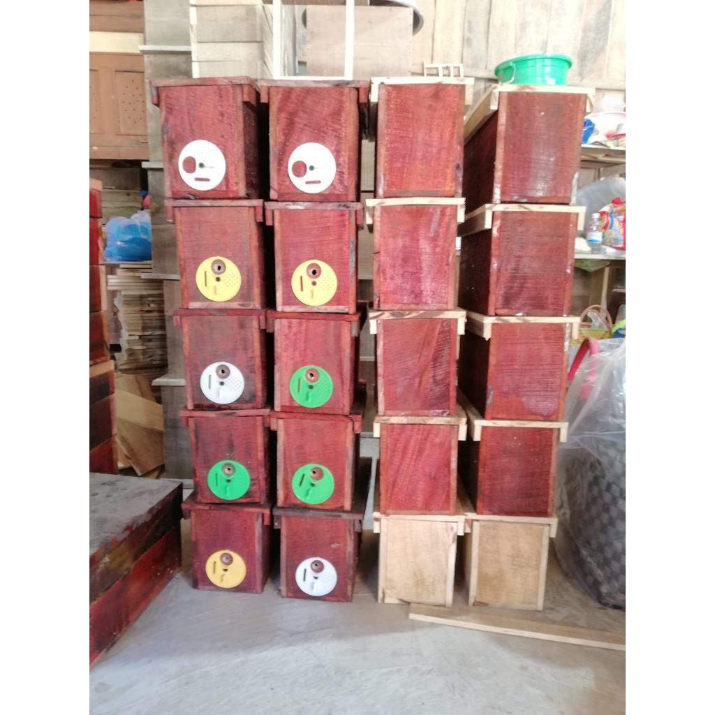 Cửa thùng phối ong chúa mini - Ảnh 3