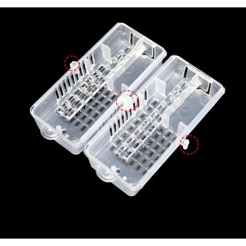 Sét 10 Lồng Nhốt Ong Chúa 3 Ngăn - Ảnh 2