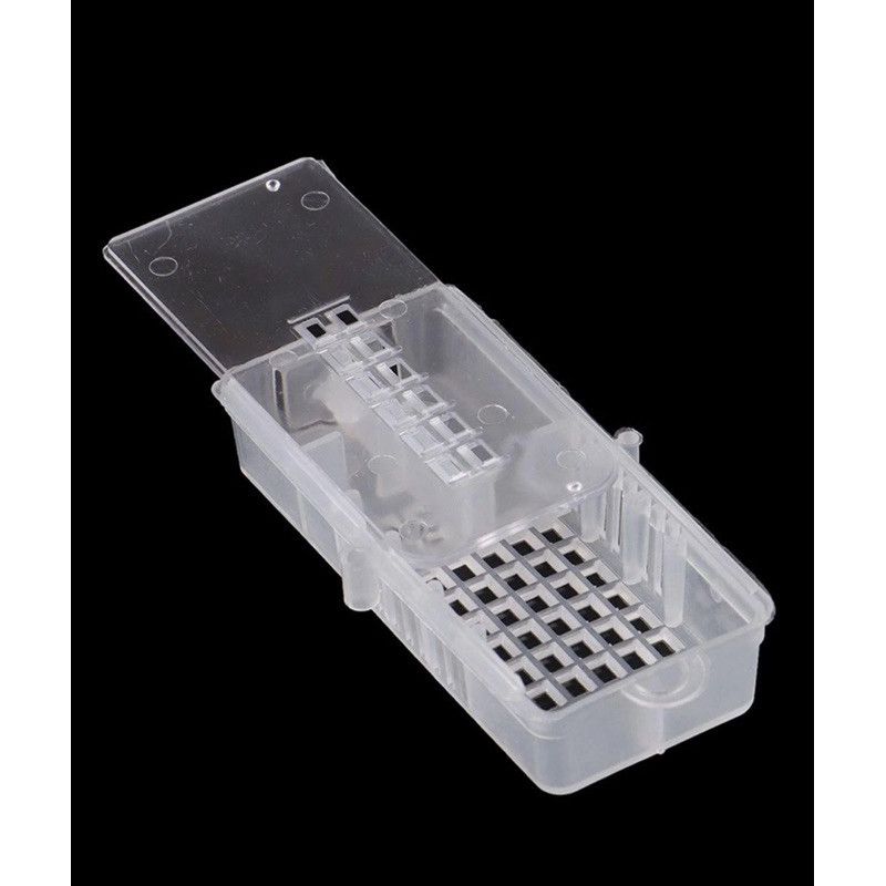 Sét 10 Lồng Nhốt Ong Chúa 3 Ngăn - Ảnh 6