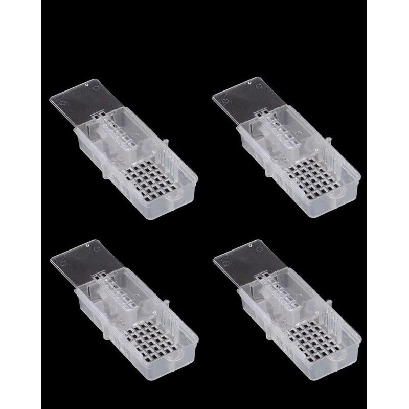 Sét 10 Lồng Nhốt Ong Chúa 3 Ngăn - Ảnh 8
